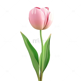 立体粉色郁金香