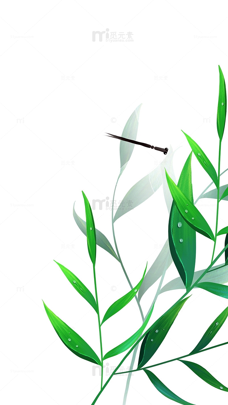 卡通草叶绿叶露珠蜻蜓