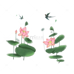 手绘卡通立夏荷叶莲花莲蓬飞燕