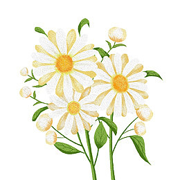 彩绘卡通雏菊花朵花苞绿叶