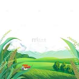 小满节气草地草坡丘陵山脉谷穗白云