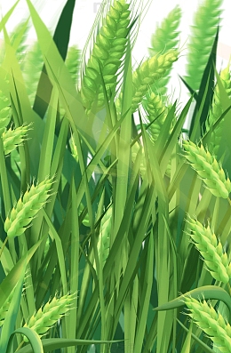 彩绘卡通麦田小麦麦子