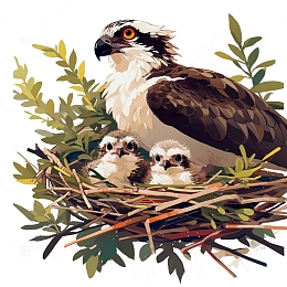 鸟窝里的小鸟一家