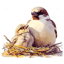 卡通可爱小鸟一家