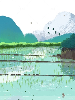 水稻插秧秧田元素