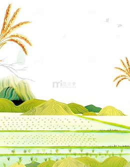 清新水稻秧田插画元素