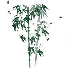 彩绘卡通竹子竹叶植物