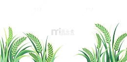 小满绿色麦田草丛麦穗谷穗手绘元素