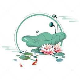 小暑节气莲花花朵莲蓬荷叶锦鲤