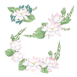 数字剪贴画鲜花花束莲花海藻
