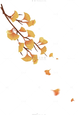 银杏树枝树叶元素
