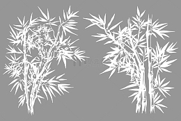 茂密的竹林剪影