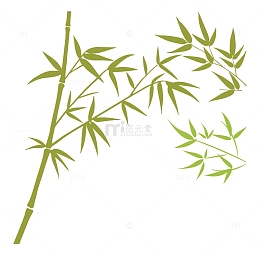 稀疏的竹竿与竹叶