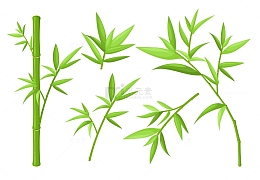 翠绿色的竹叶与竹子