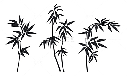三株竹子的剪影