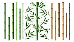 细长的竹干与竹叶