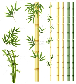 嫩黄色的竹竿与竹叶