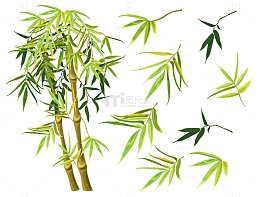 嫩黄色的竹子