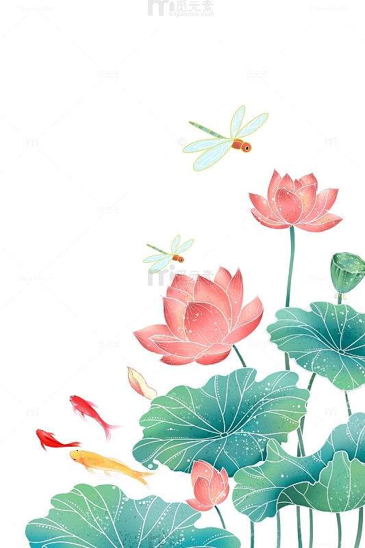 处夏立夏莲花荷叶蜻蜓锦鲤