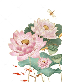 处夏立夏小暑莲花荷叶莲蓬蜻蜓锦鲤夏至图片
