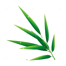 彩绘卡通竹叶绿叶叶子露珠水珠