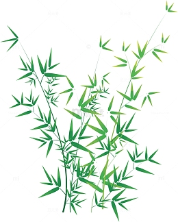 竹枝竹叶元素