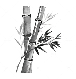 清秀的水墨竹子