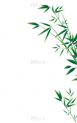 绿色植物竹子