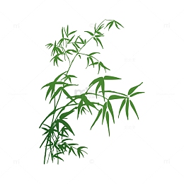绿色叶子竹叶绿叶