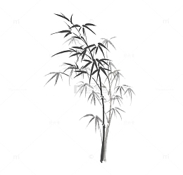 水墨国风简约竹子