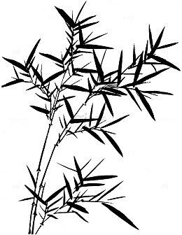 植物竹子竹叶元素