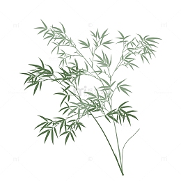 竹叶绿色春天元素