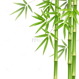 青翠绿竹竹叶竹子