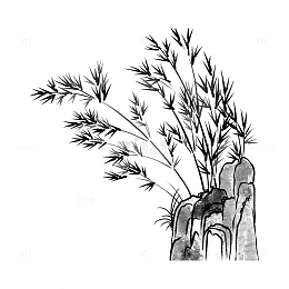 中国风水墨竹子