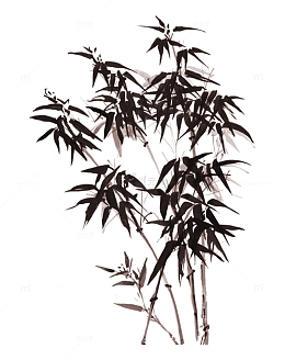 国风水墨植物墨竹