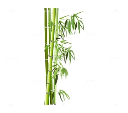 端午节植物装饰竹子元素