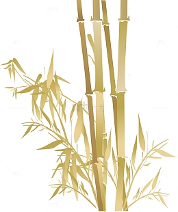 金色竹林竹子