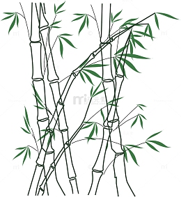 简笔画竹子竹竿元素