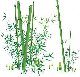 竹林绿色竹枝竹竿
