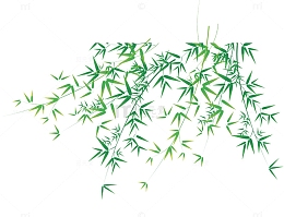 竹枝竹叶绿叶元素