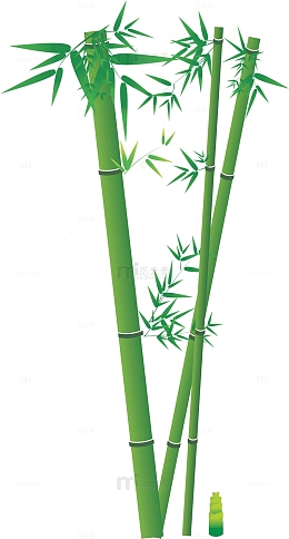 翠绿竹子竹竿竹笋