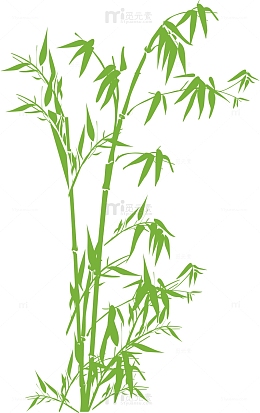 唯美清新竹子竹叶元素