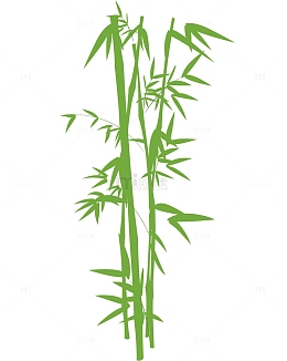 绿植清新竹子元素