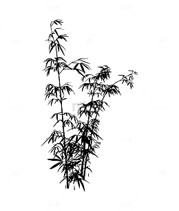 茂密竹叶竹枝元素
