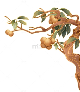 手绘卡通桂圆龙眼水果树木树枝树叶