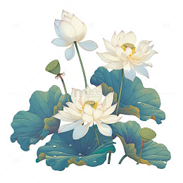 中国荷花国风工笔画素材