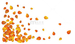 随风飞扬的树叶