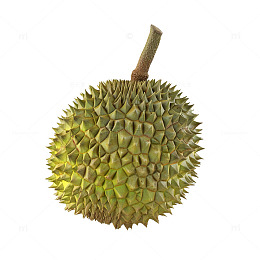 夏天新鲜水果榴莲
