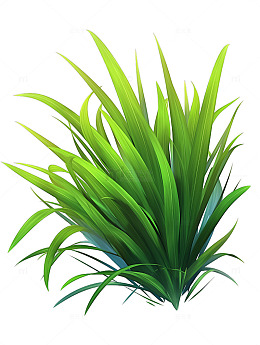 地形野外植物树木水草2