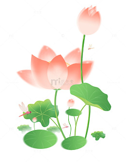 夏天小暑大暑弥散风荷花荷塘花卉